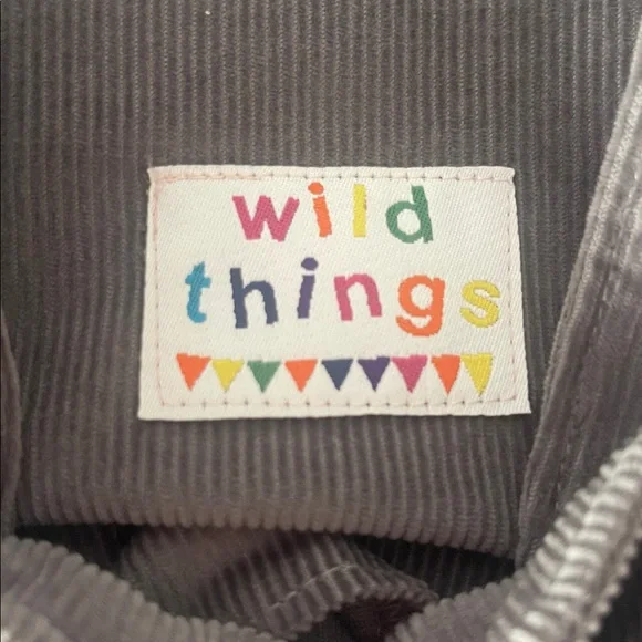 WILD THINGS EUC ADORABLE Mouse Embroidered Appliqué Corduroy Jumper Dress